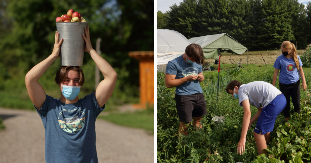 Luke '24 learning in the "From Seed to Table" course at our Northcote Campus