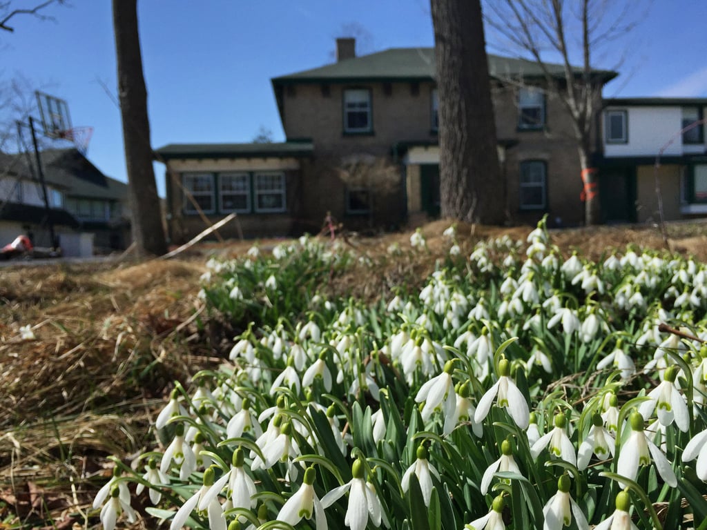 April6_IMG_4526