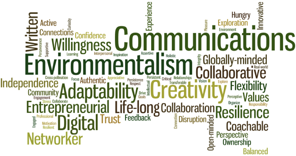 Graphical representation of key skillsets and characteristics sited in response to the question: What are the skills that students will need in the future? Pulled from faculty and staff PD trip reports – size based on frequency of mention
